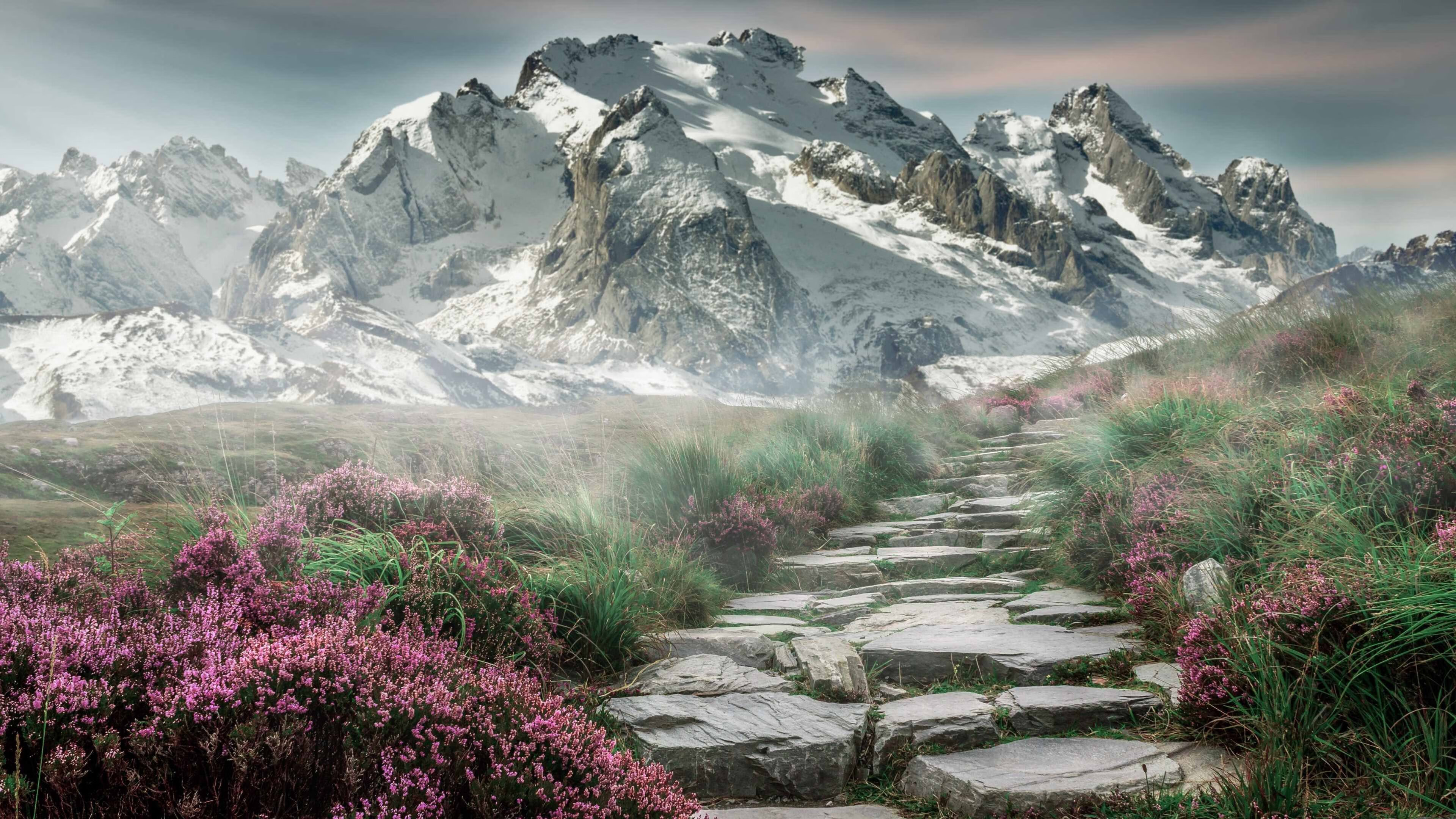 乐鱼体育官网下载-新闻中心官方通告休赛期转会窗口开放时间，转会公告